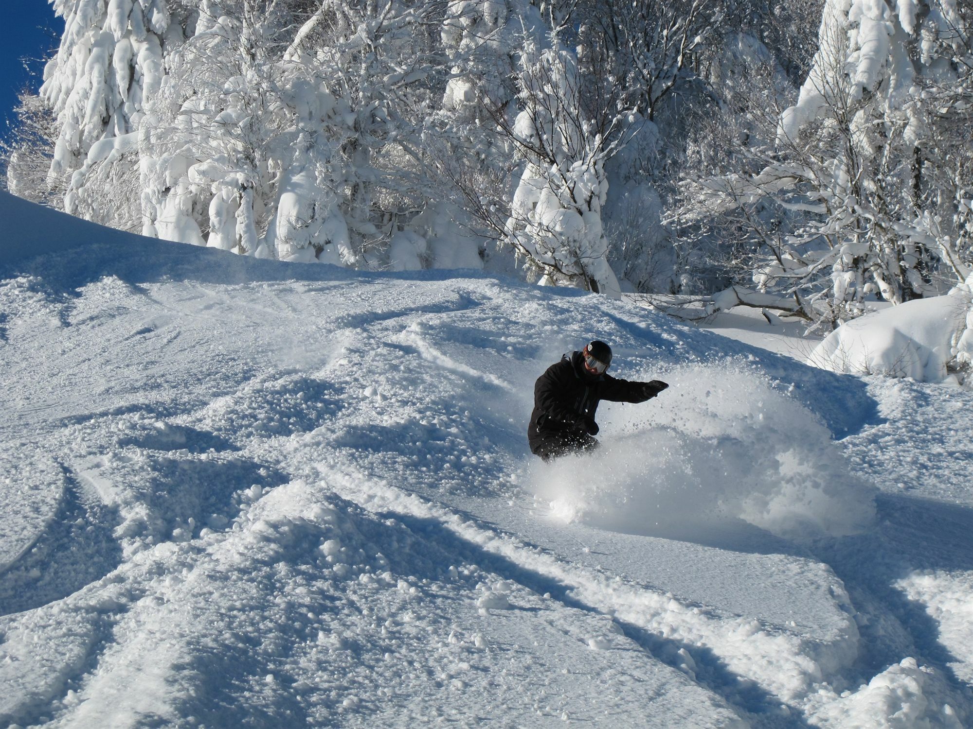 Seneca - Snowshoe Bagian luar foto